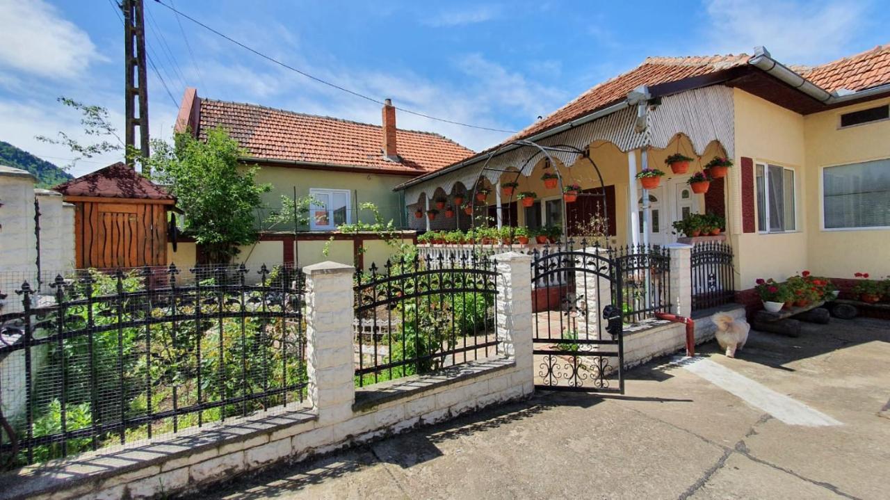 La Mosu-N Retezat Konuk evi Nucsoara  Dış mekan fotoğraf