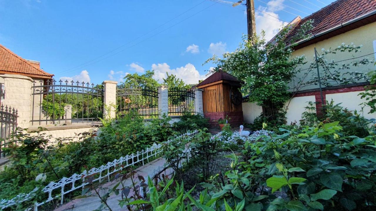 La Mosu-N Retezat Konuk evi Nucsoara  Dış mekan fotoğraf