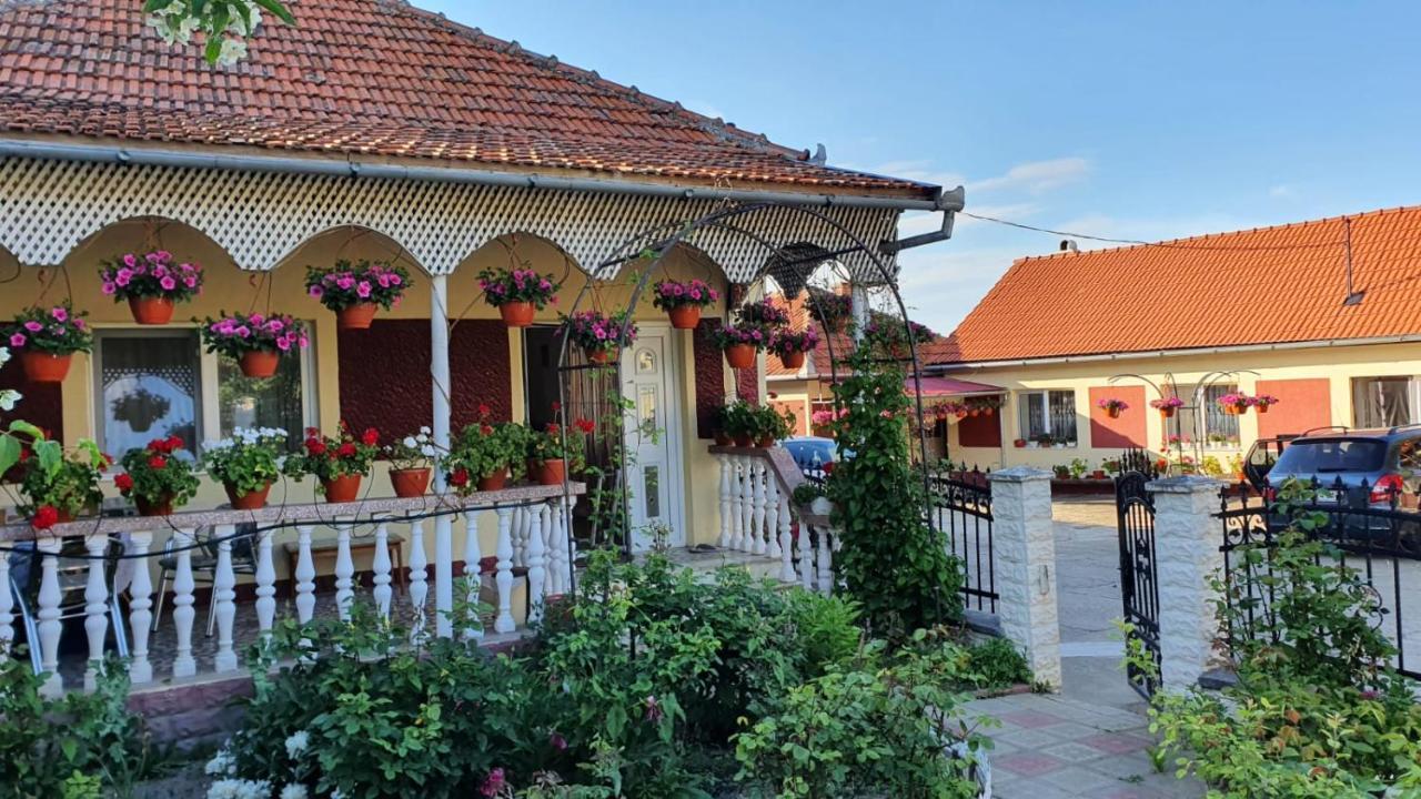 La Mosu-N Retezat Konuk evi Nucsoara  Dış mekan fotoğraf