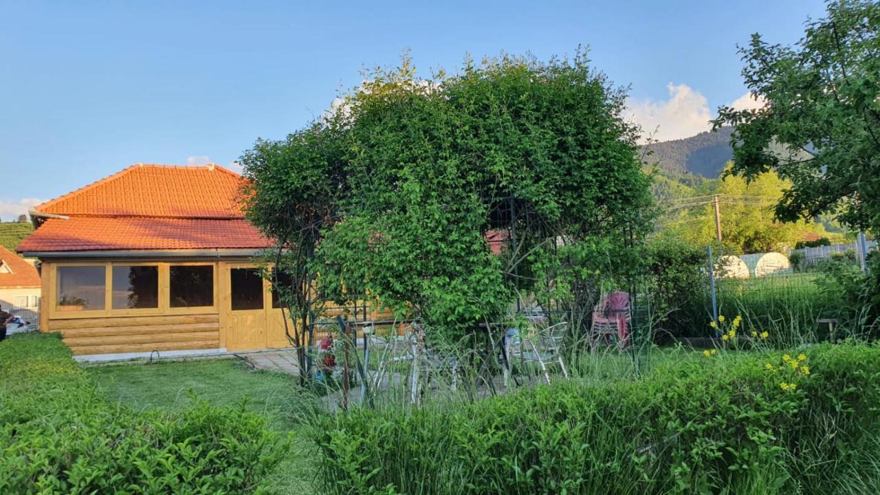 La Mosu-N Retezat Konuk evi Nucsoara  Dış mekan fotoğraf