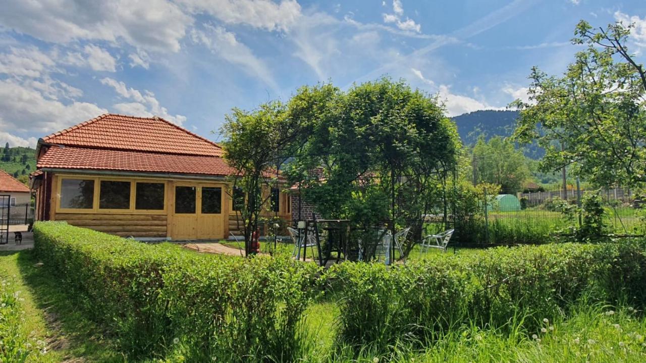 La Mosu-N Retezat Konuk evi Nucsoara  Dış mekan fotoğraf