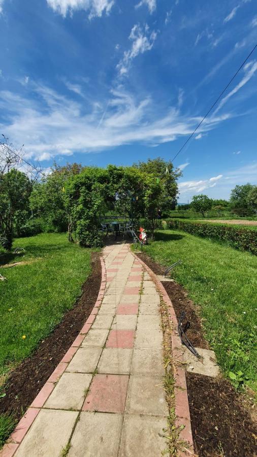 La Mosu-N Retezat Konuk evi Nucsoara  Dış mekan fotoğraf
