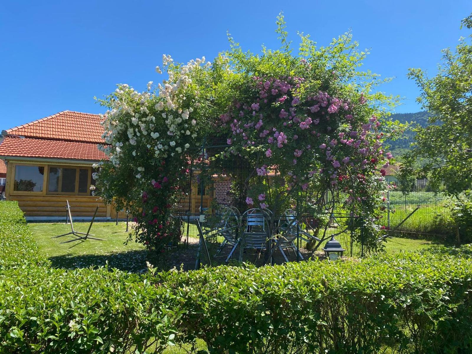 La Mosu-N Retezat Konuk evi Nucsoara  Dış mekan fotoğraf